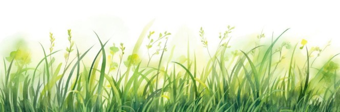 Imagen de Green Grass