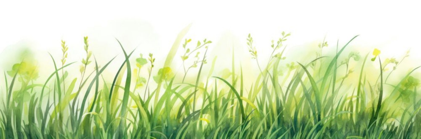 Picture of Green Grass