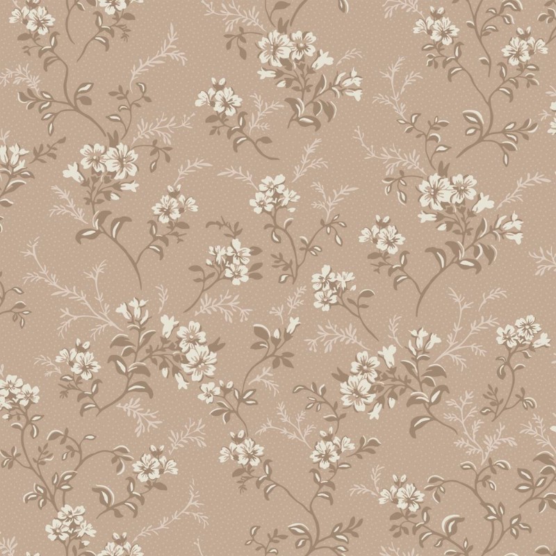 Afbeeldingen van Sonja Rosa - 536-02