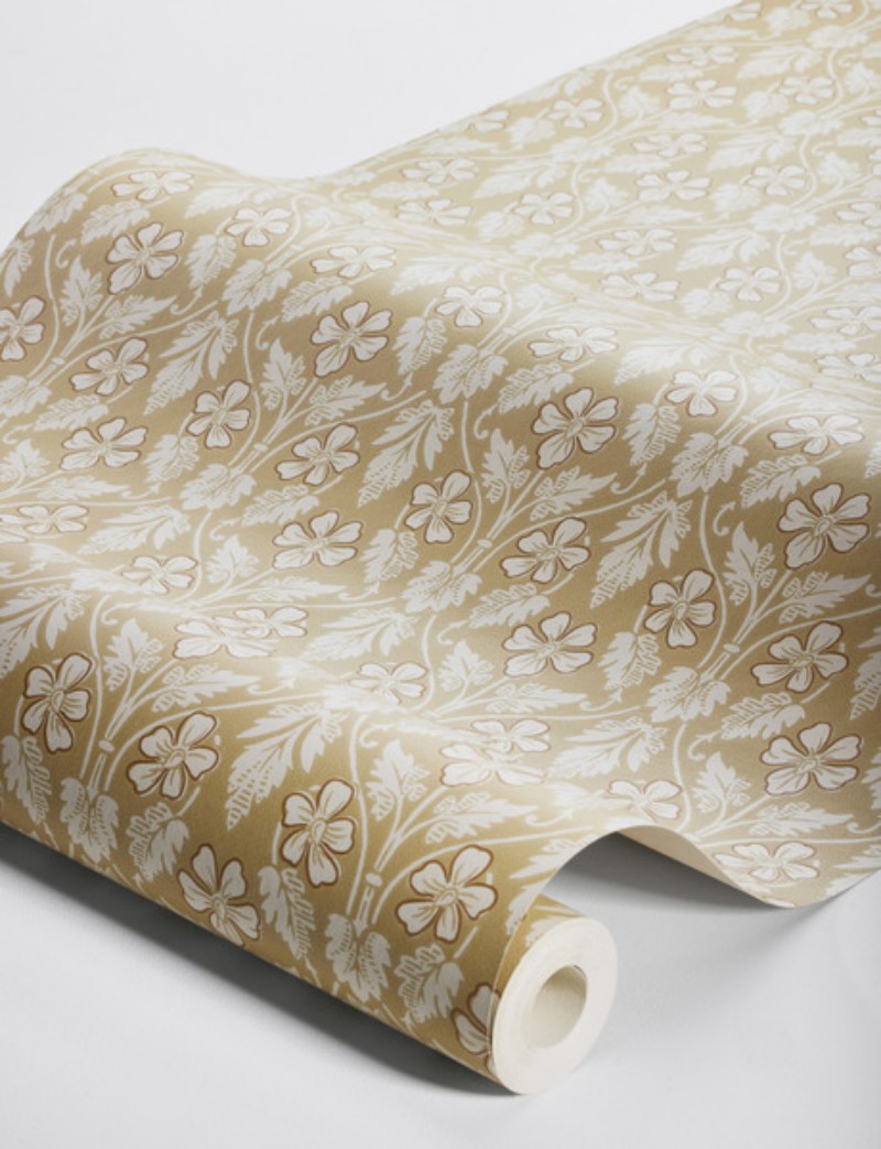 Picture of Nora - 4585