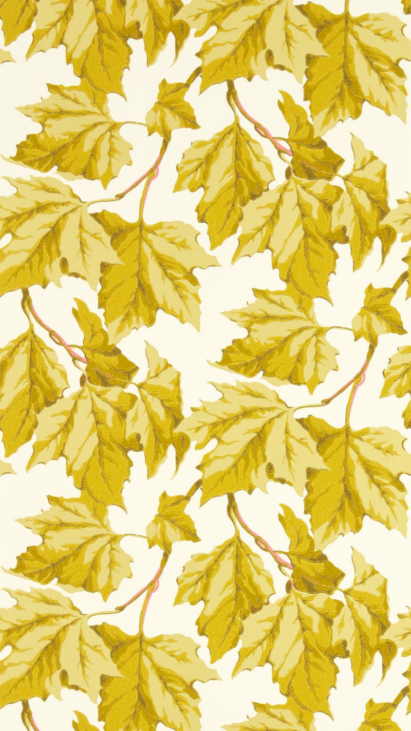 Picture of Dappled Leaf Citrine - HSRW113046