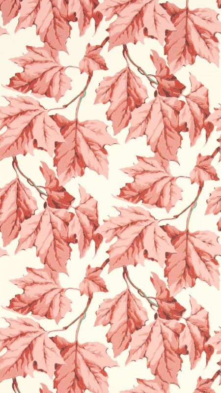 Immagine di Dappled Leaf Rose Quartz - HSRW113048