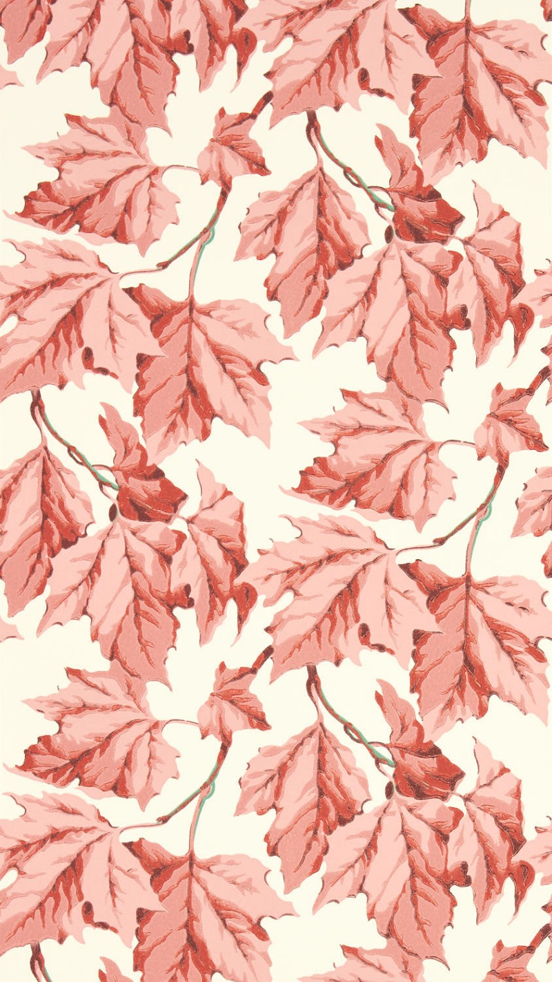 Afbeeldingen van Dappled Leaf Rose Quartz - HSRW113048