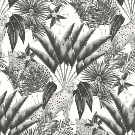 Picture of Jungle Cheetah Raven - LBK50122W