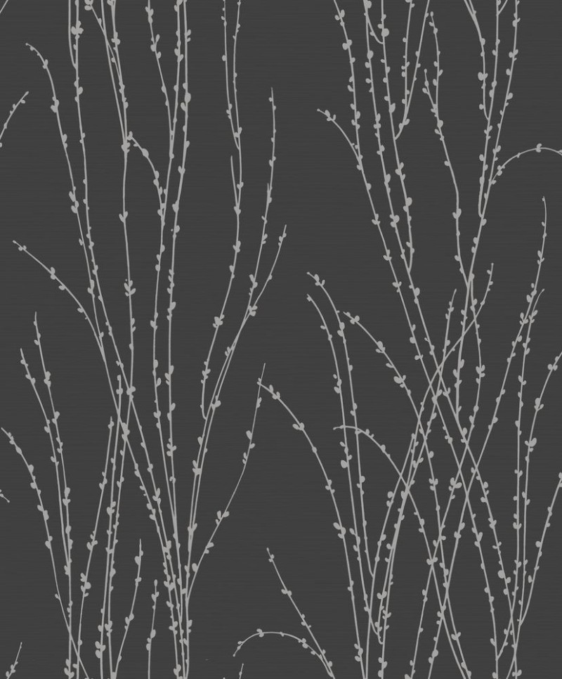 Image de Black Botanical Ferns - SK30023