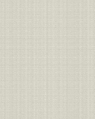 Image de Taupe Linen Plain - SK30085