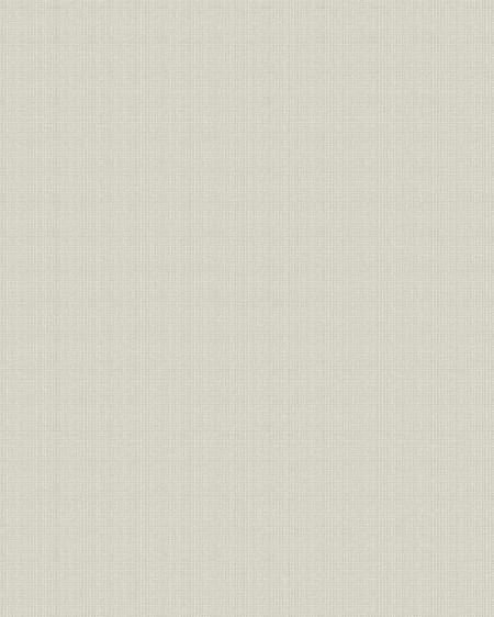 Image de Taupe Linen Plain - SK30085