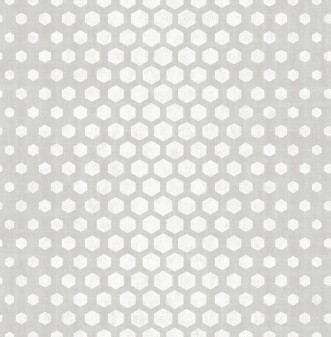 Picture of Grey Hexagon Ombre - DE41816