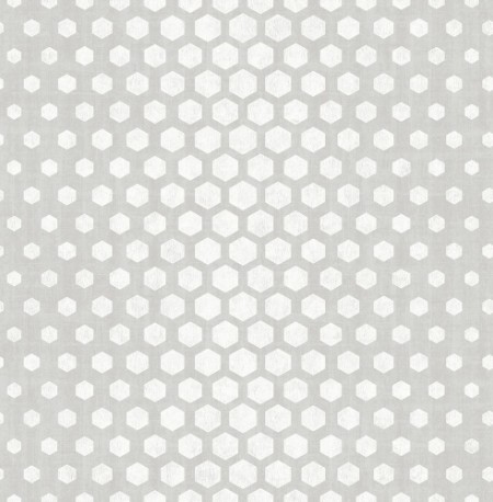 Picture of Grey Hexagon Ombre - DE41816