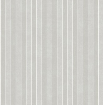 Image de Grey Stripe - DE41837