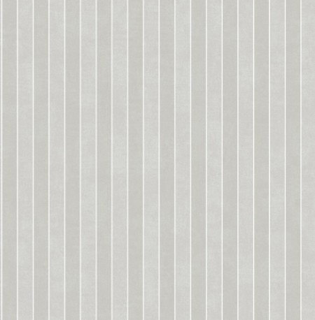 Bild på Grey Stripe - DE41837