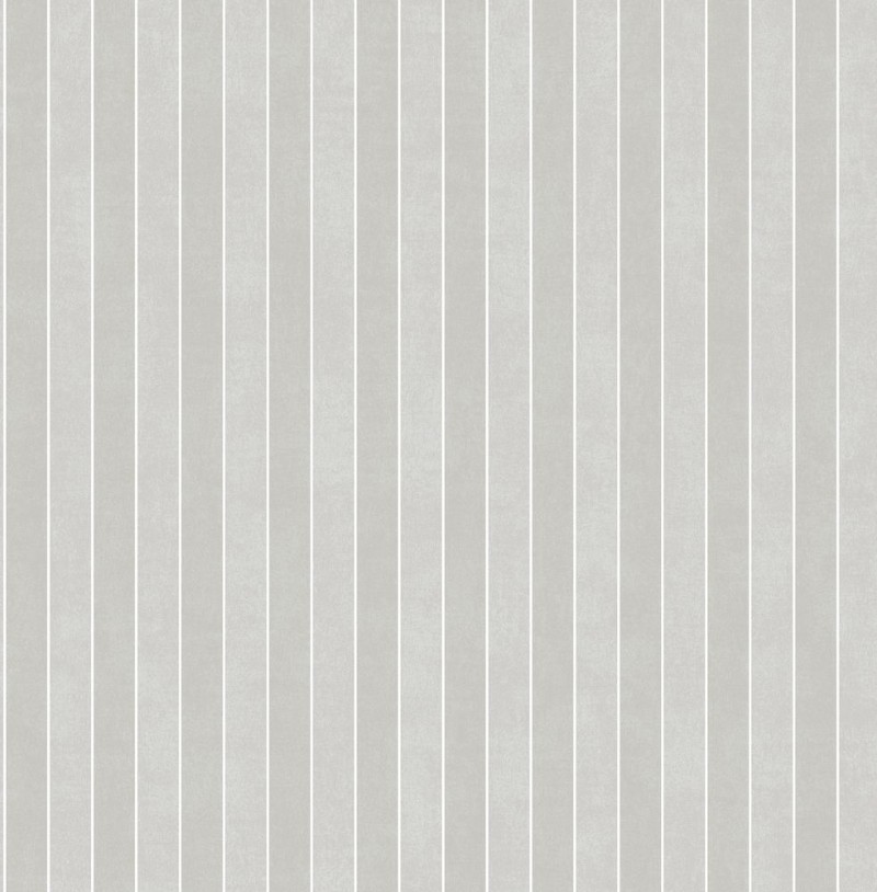 Image de Grey Stripe - DE41837
