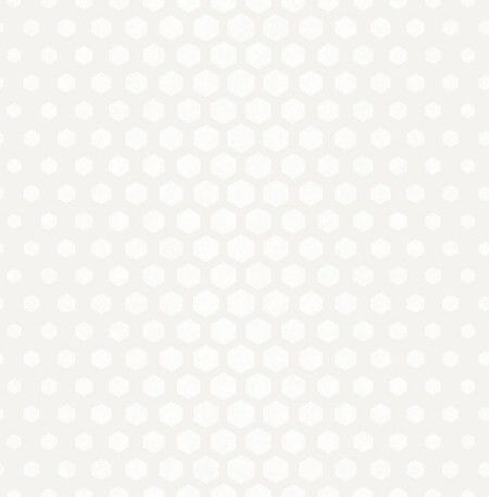 Picture of White Hexagon Ombre - DE41859