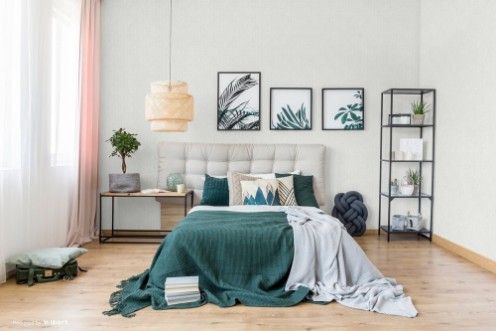 Picture of White Plain - DE41810