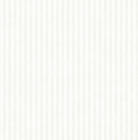 Image de White Stripe - DE41822