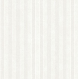 Image de White Stripe - DE41823