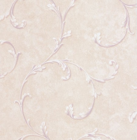 Image de Beige Acanthus Scroll - DE41454
