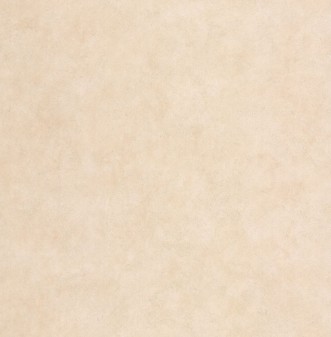Picture of Beige Plain - DE41413