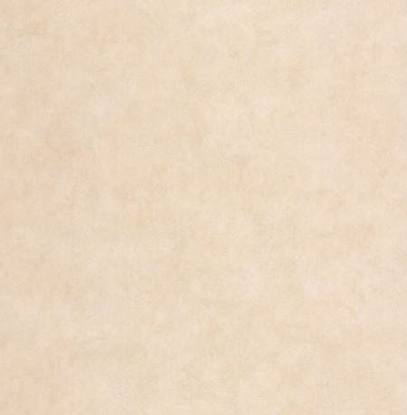 Picture of Beige Plain - DE41413