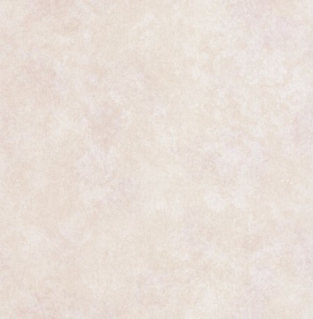 Image de Beige Plain - DE41458