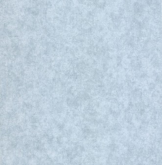 Picture of Blue Plain - DE41431