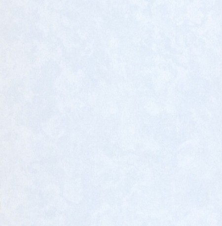 Image de Blue Plain - DE41459