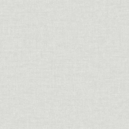 Picture of Grey Textured Plain - FI1004