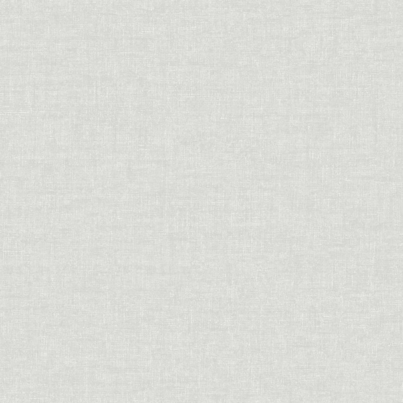 Picture of Grey Textured Plain - FI1004