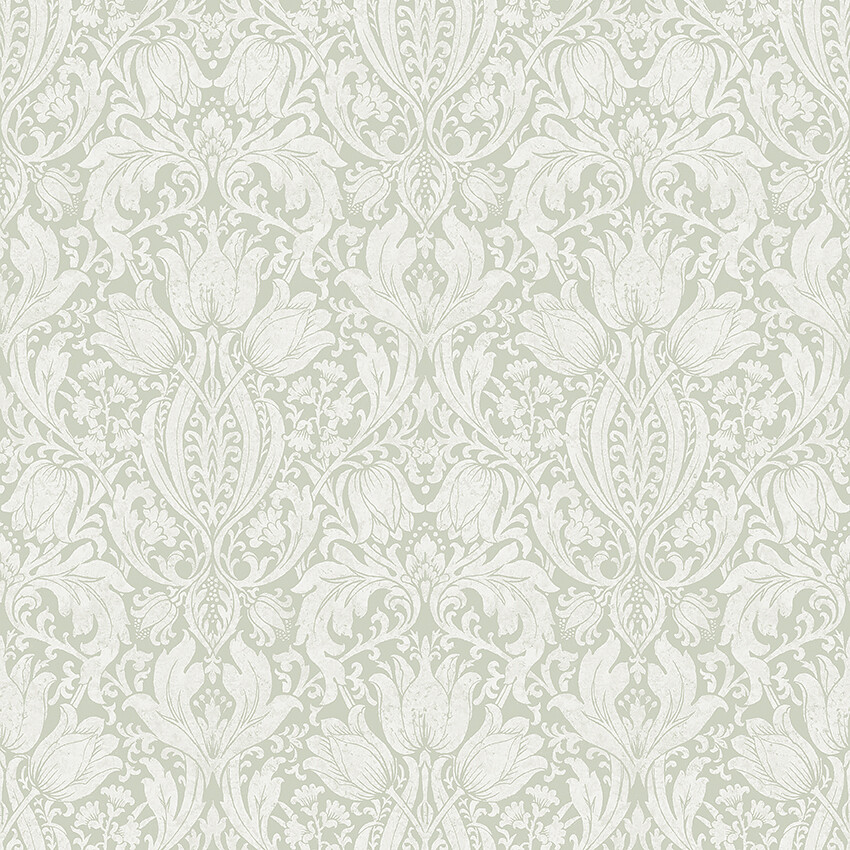 Picture of Alba - 38747