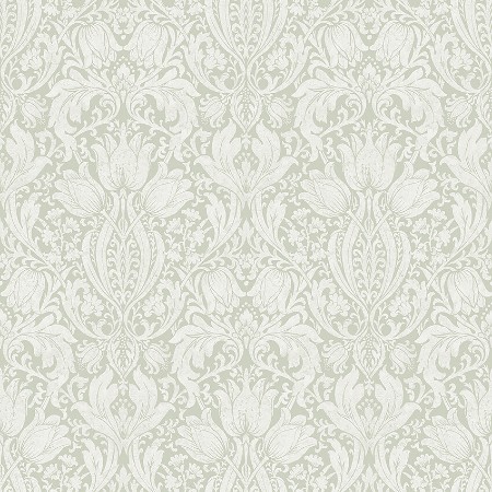 Afbeeldingen van Alba - 38747