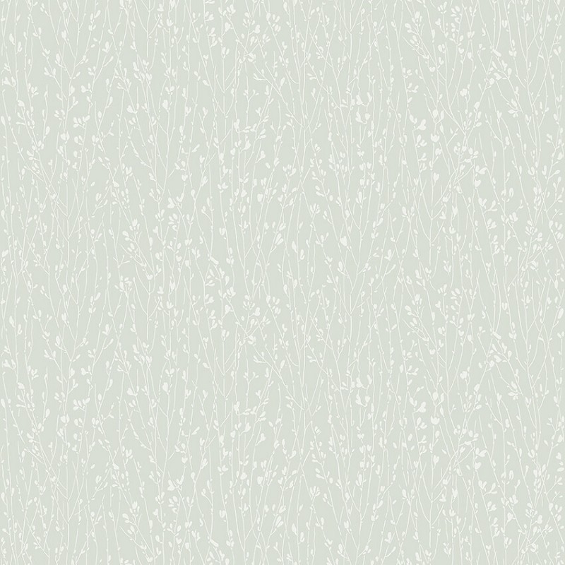 Picture of Elias - 38731