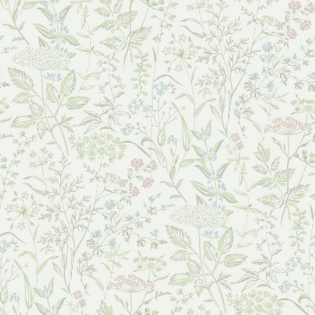 Picture of Emil - 38734