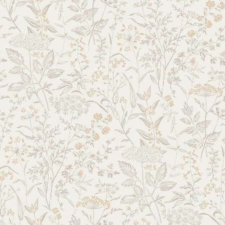 Picture of Emil - 38735