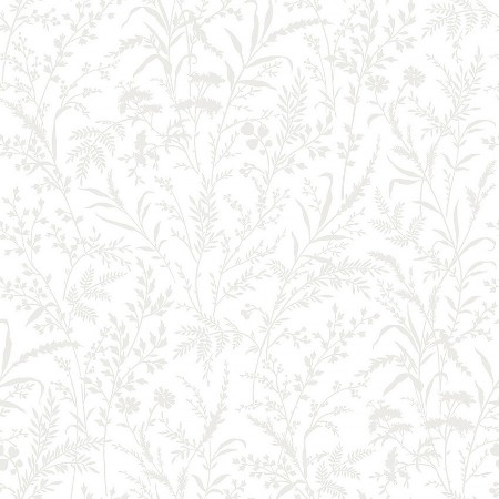 Picture of Florian - 38746