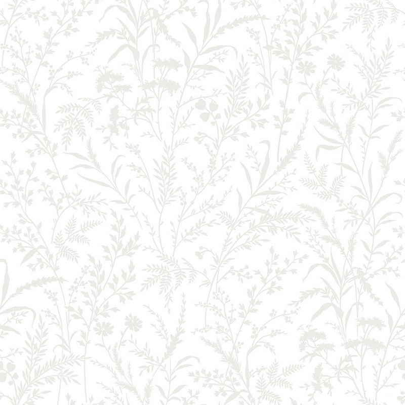 Picture of Florian - 38746