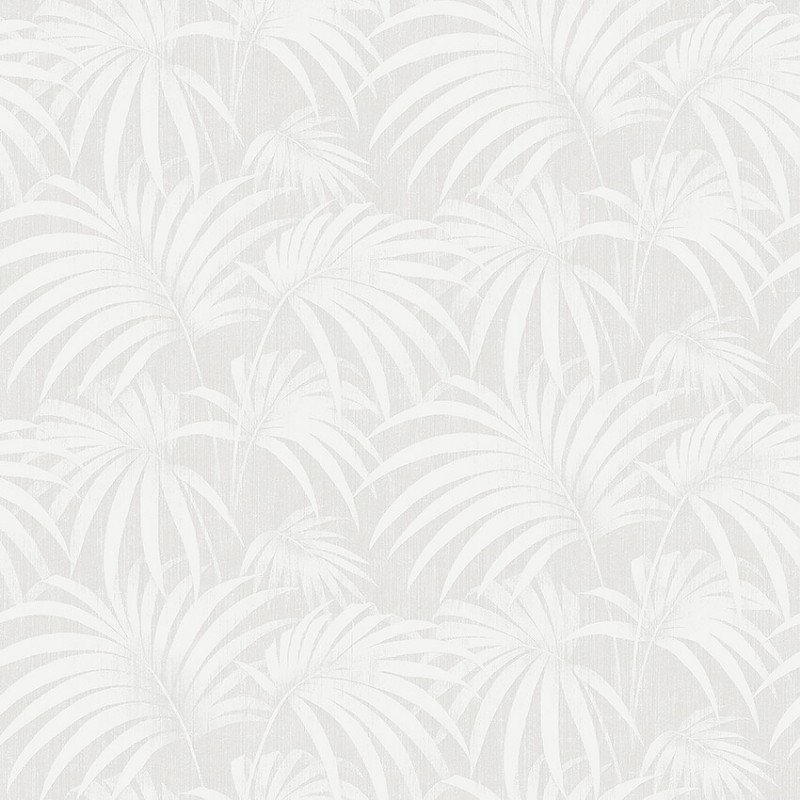 Afbeeldingen van Paula - 38768