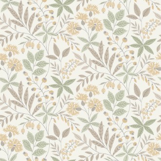 Image de Wilma - 38752