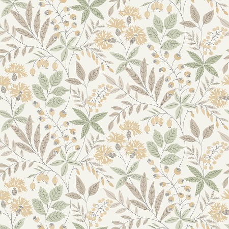 Picture of Wilma - 38752