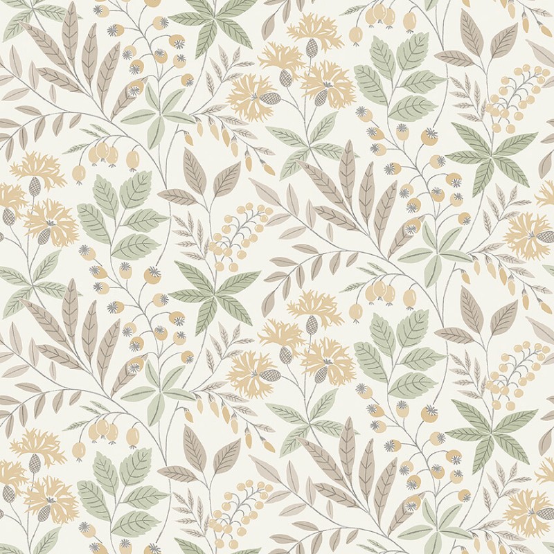 Picture of Wilma - 38752