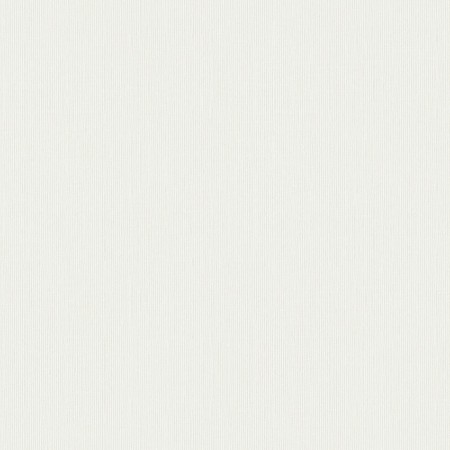 Image de Adam - 38717