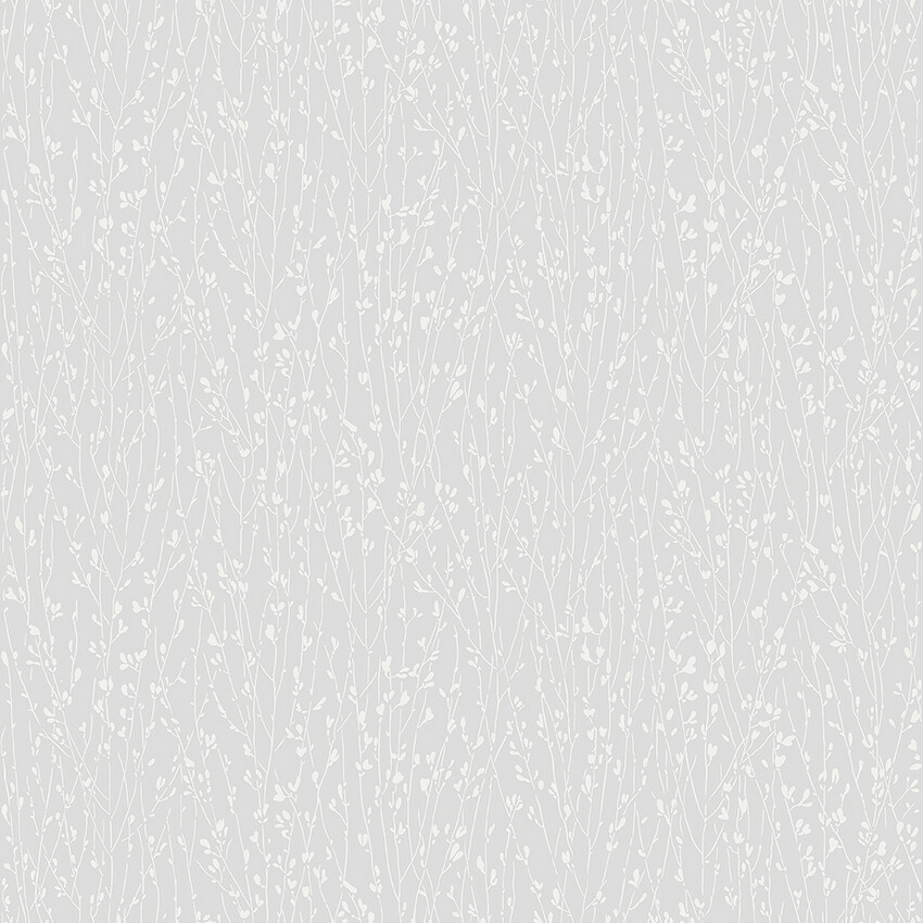 Picture of Elias - 38714