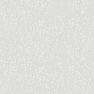 Image de Elias - 38714