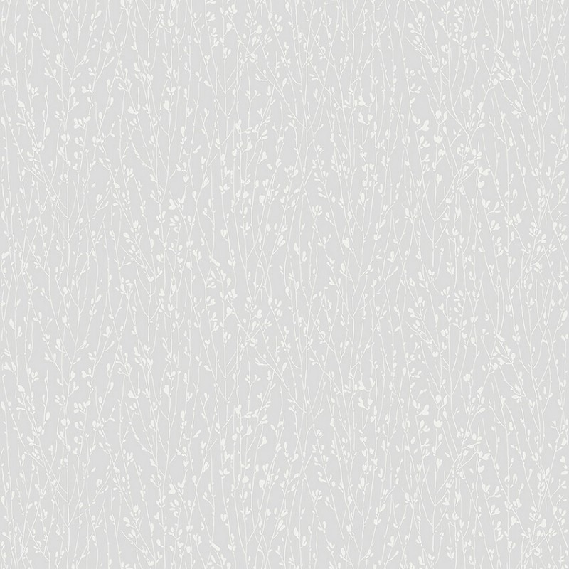 Picture of Elias - 38714