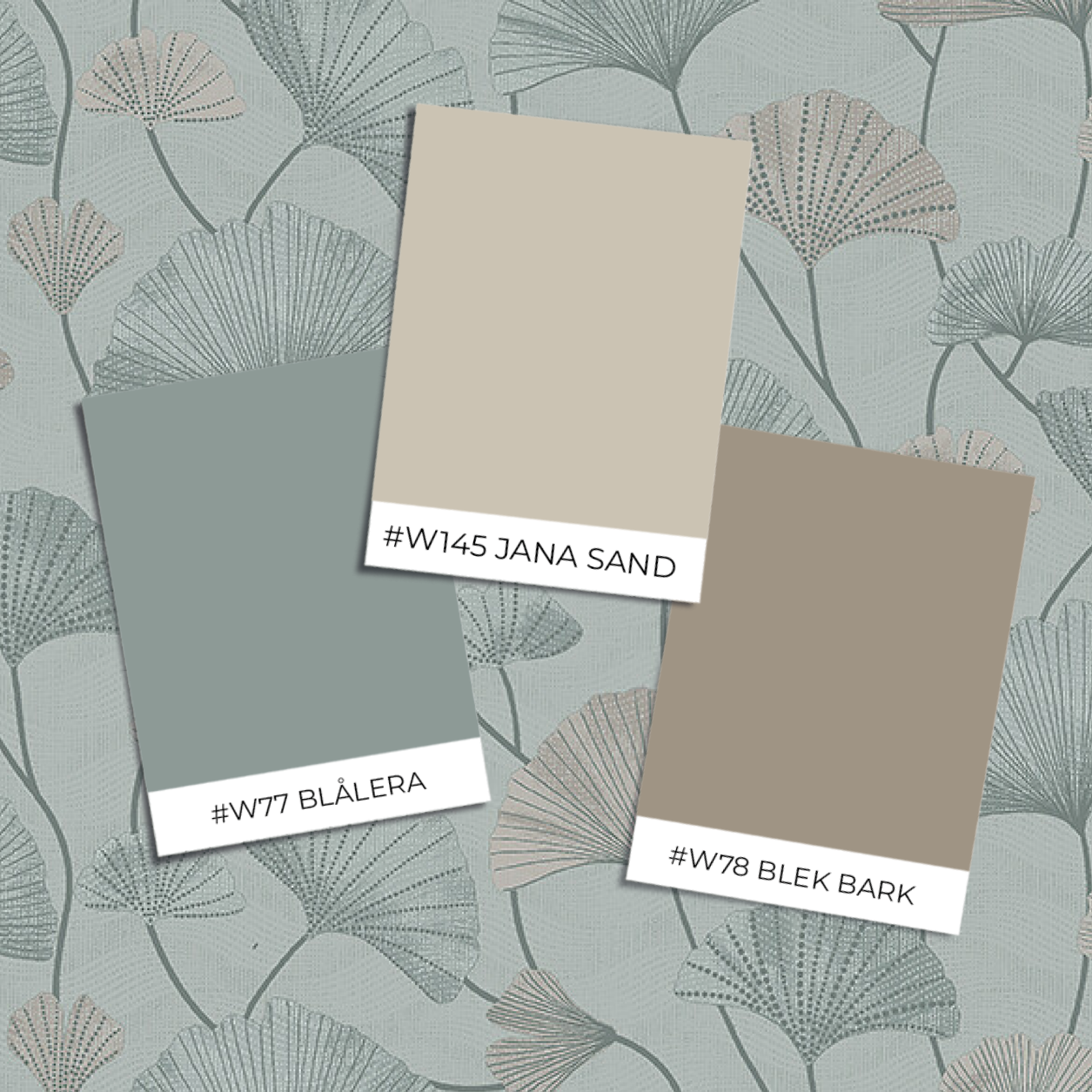 Picture of Sophia - 5533