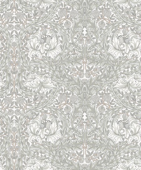 Picture of African Marigold - 82022