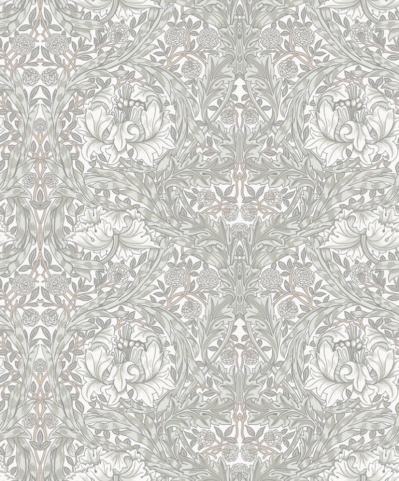 Bild vun African Marigold - 82022