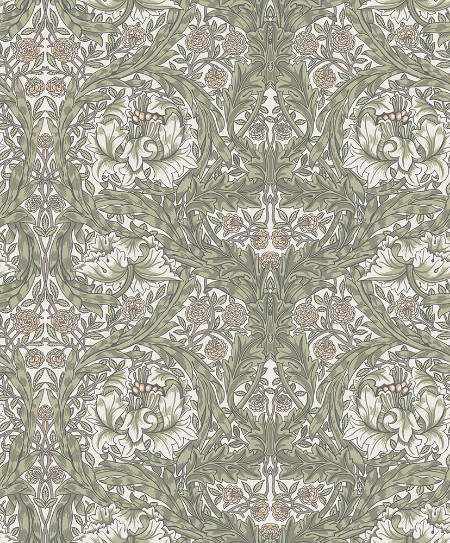 Picture of African Marigold - 82023