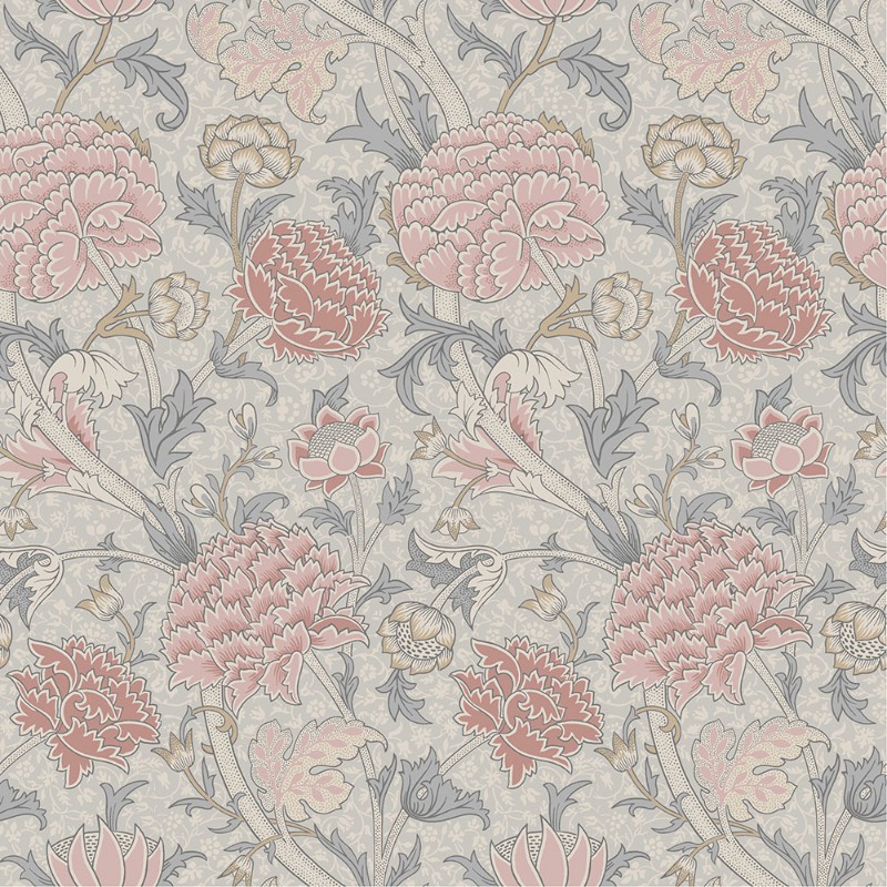 Attēls Cray - 82033