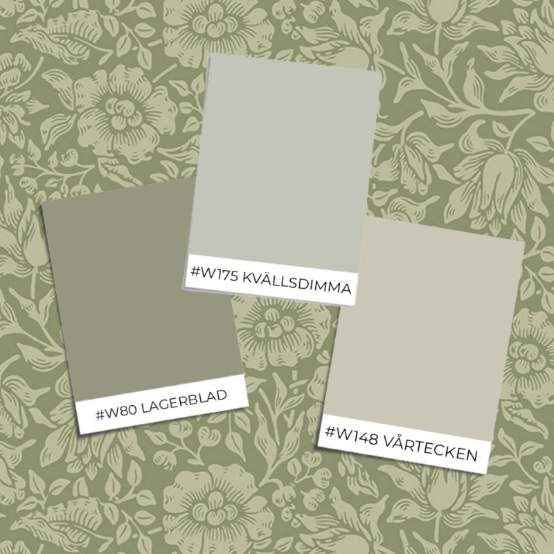 Poza cu Mallow - 82041