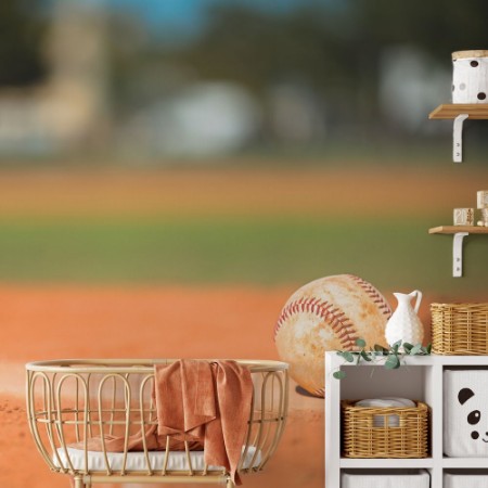 Image de Baseball on Pitchers Mound